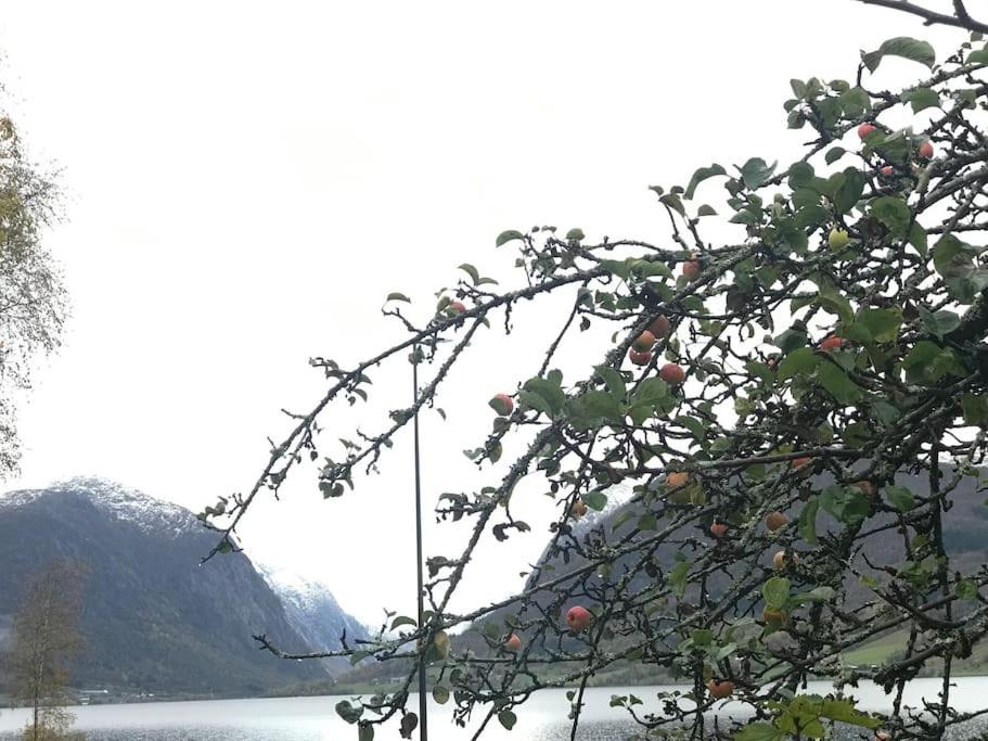 Apartment With Lake View In Jolster Ardal  Екстер'єр фото